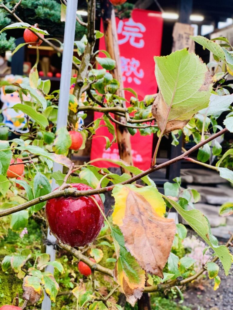 大野りんご園