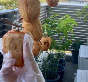 1週間後に外側が乾燥してきて、手でもみもみすると、出来上がりは早くなります!