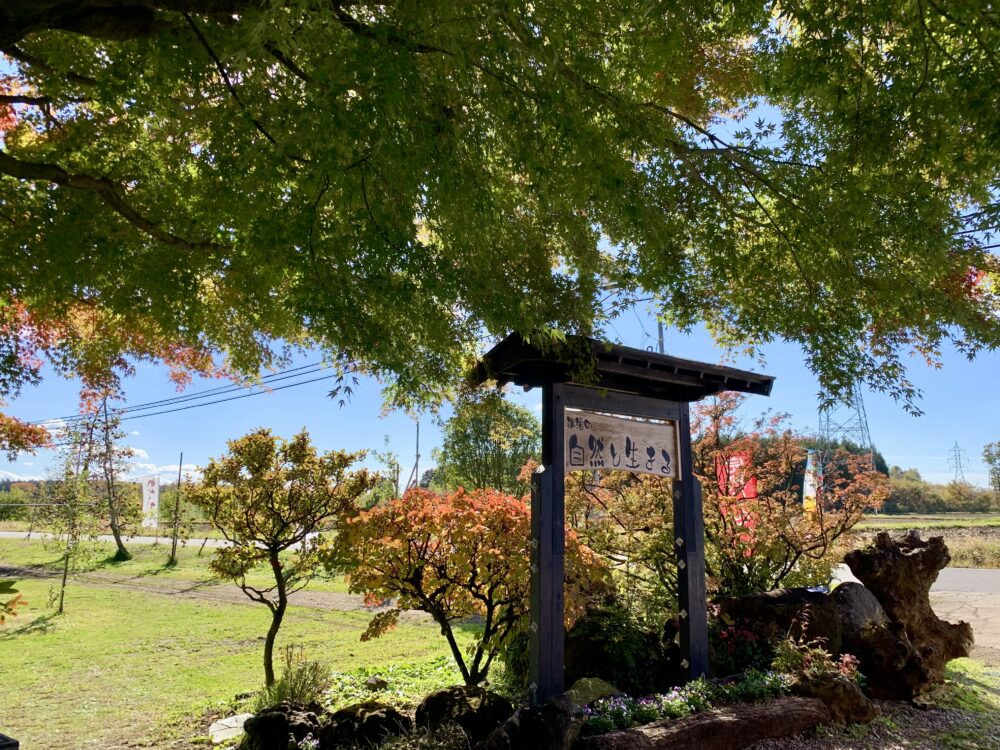 大野りんご園