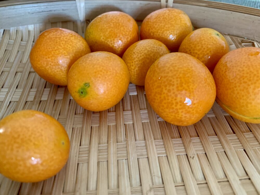 金柑を洗う