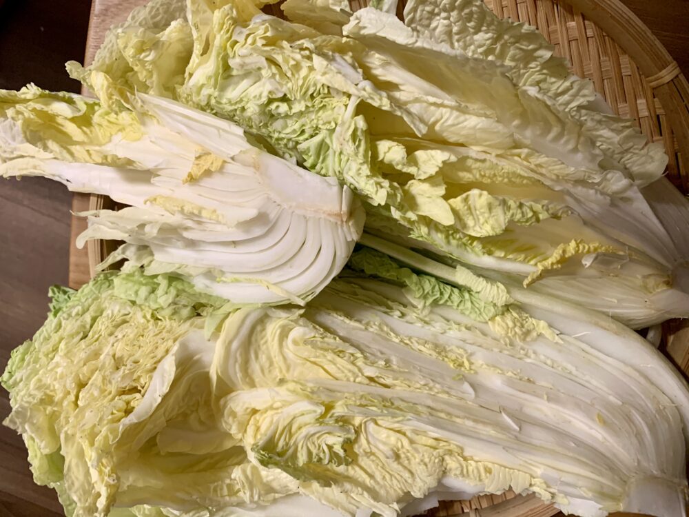 白菜を干す