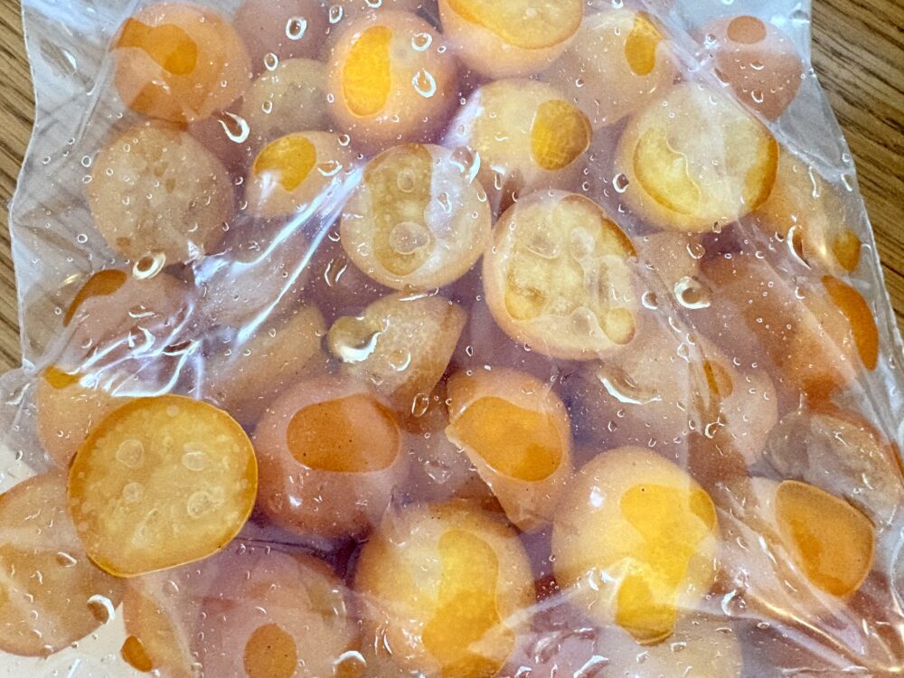 はちみつ金柑保存