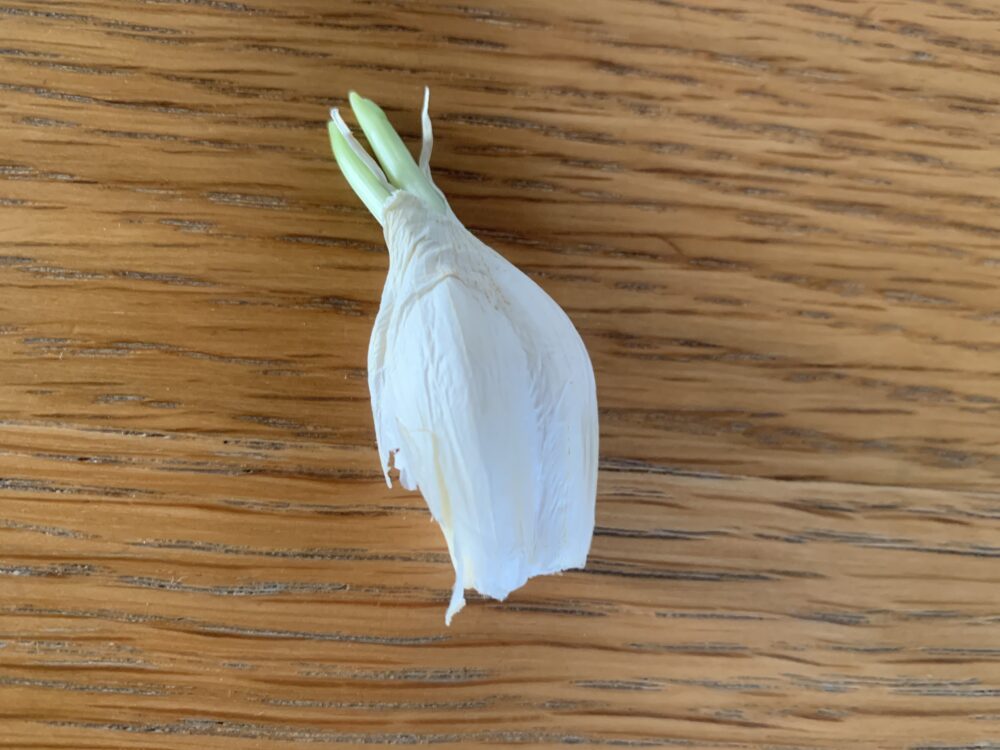 外側の皮を剥いて、1個ずつに分ける