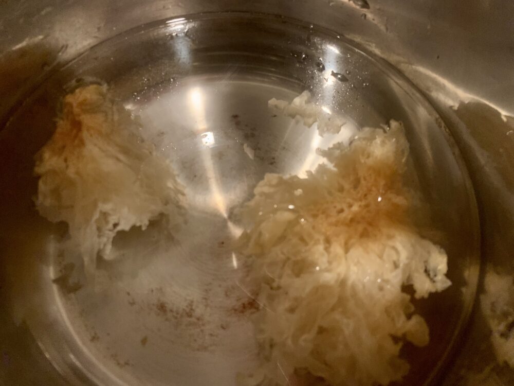 乾燥白きくらげを水につける