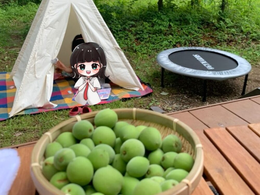 テント