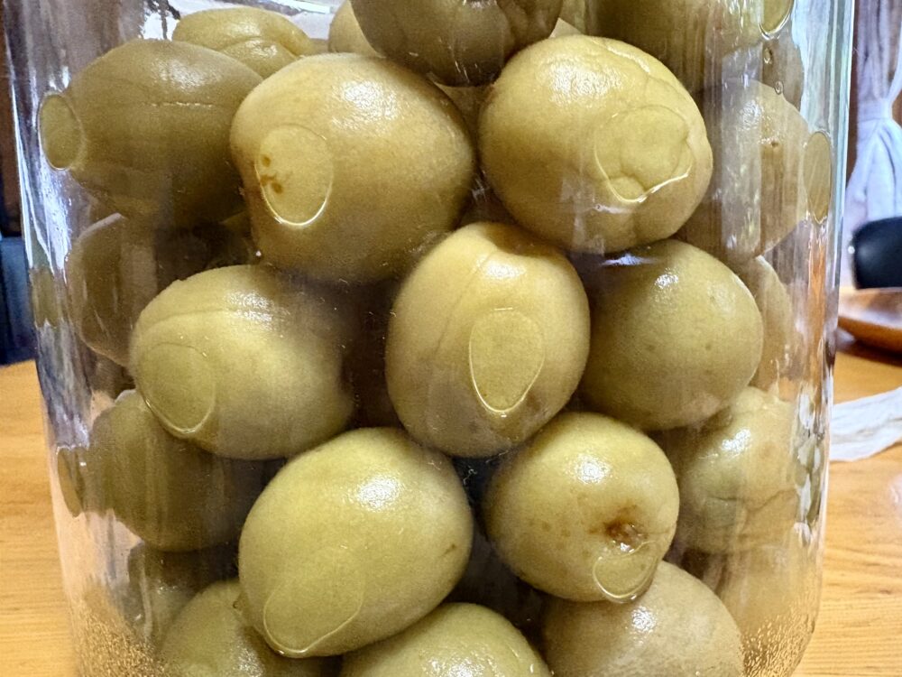 梅酒の梅