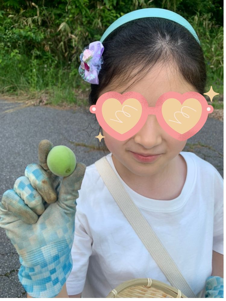 梅