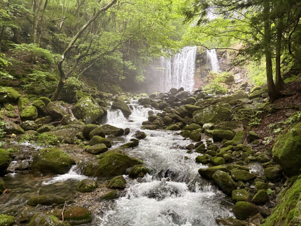 綺麗な滝
