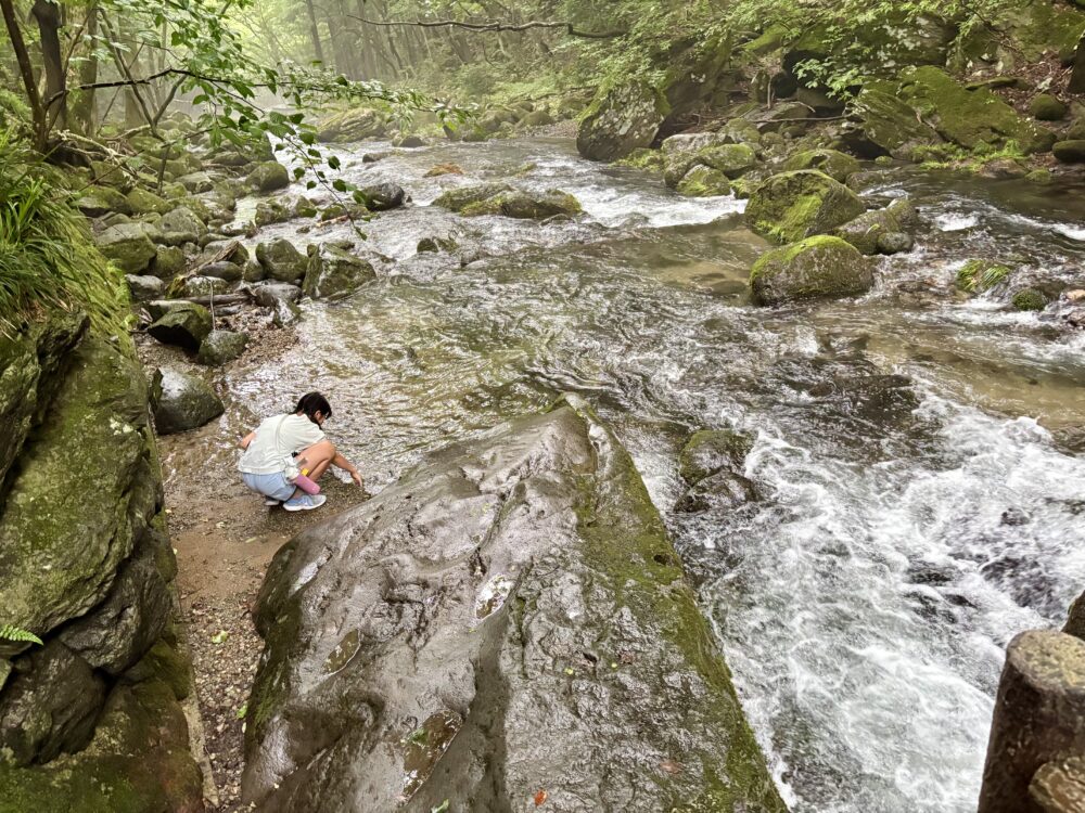 お水を触ってみた