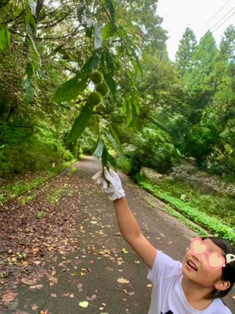 栗拾い