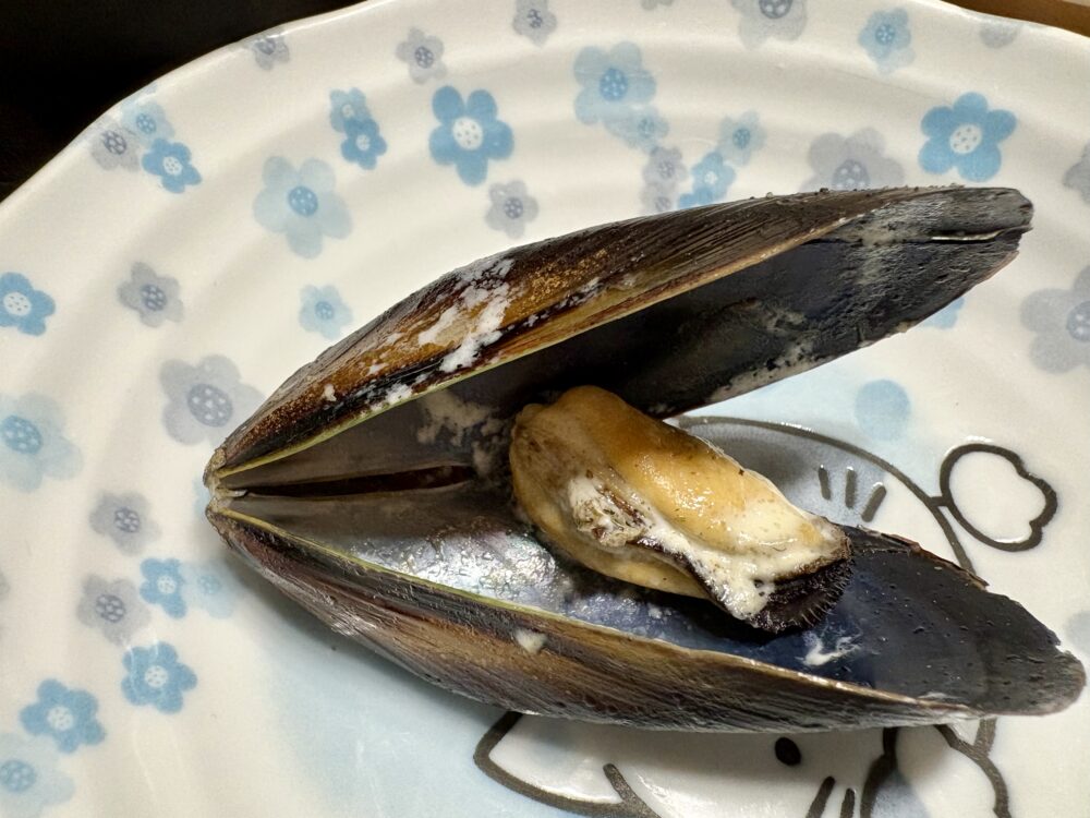 出来上がり