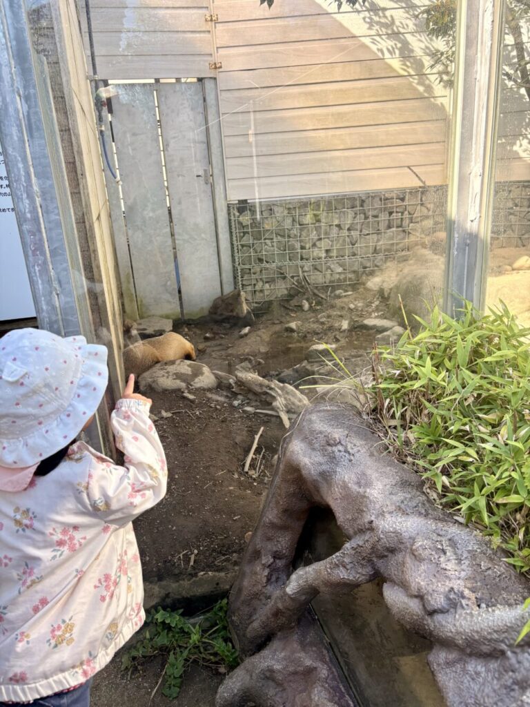 水族館