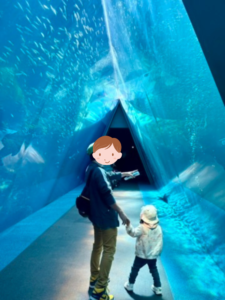 水族館